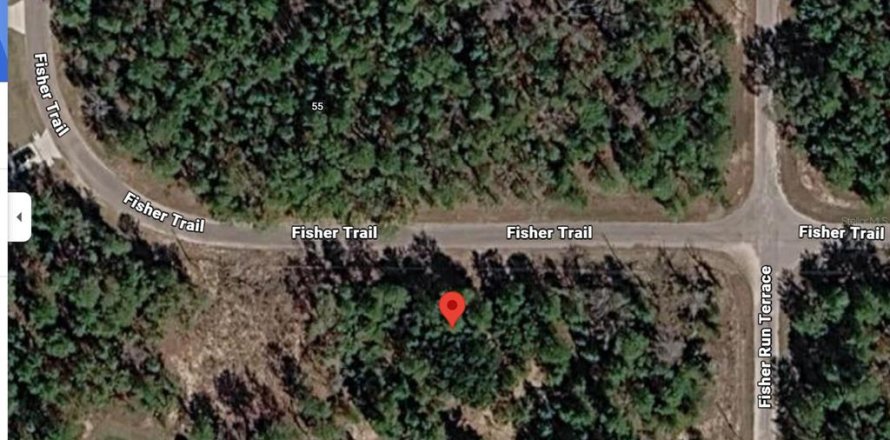 Land in Ocklawaha, Florida № 2202075