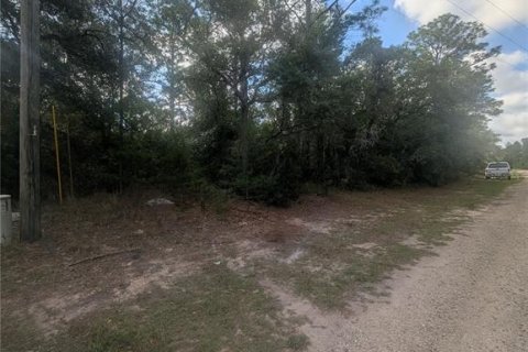 Land in Dunnellon, Florida № 2159101 - photo 10