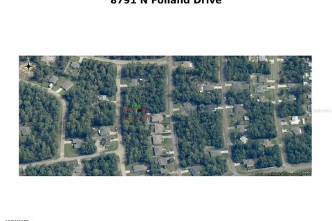 Land in Dunnellon, Florida № 2159101 - photo 15