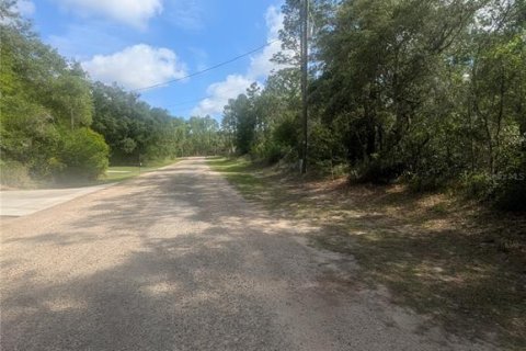 Land in Dunnellon, Florida № 2159101 - photo 9