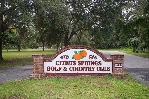Land in Dunnellon, Florida № 2159101 - photo 14