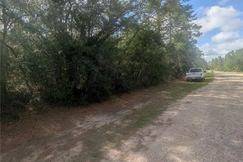 Land in Dunnellon, Florida № 2159101 - photo 5