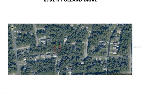Land in Dunnellon, Florida № 2159101 - photo 11
