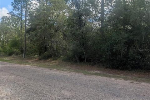 Land in Dunnellon, Florida № 2159101 - photo 4