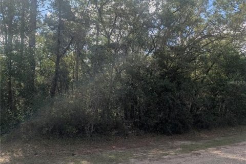 Land in Dunnellon, Florida № 2159101