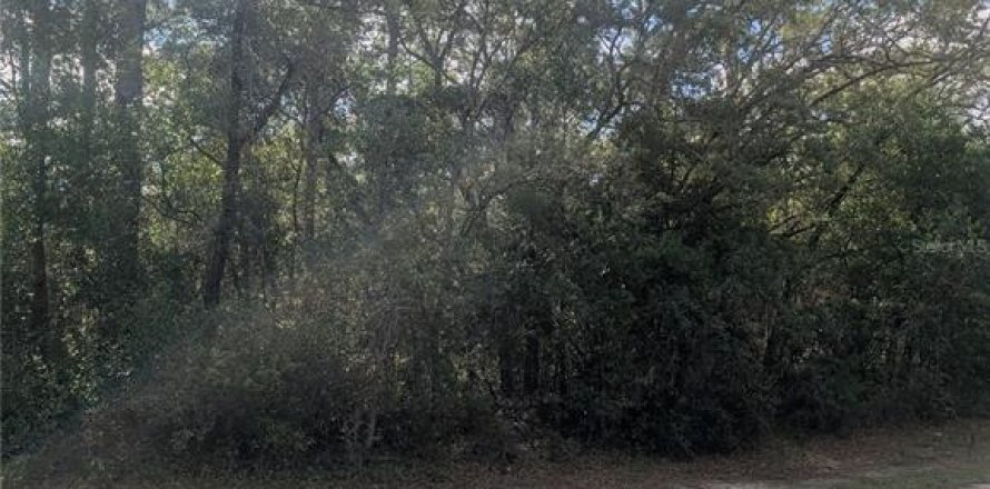 Land in Dunnellon, Florida № 2159101