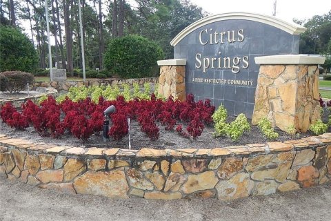 Land in Dunnellon, Florida № 2159101 - photo 2