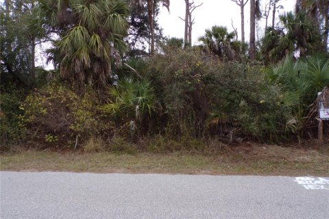 Land in North Port, Florida № 2165440 - photo 5
