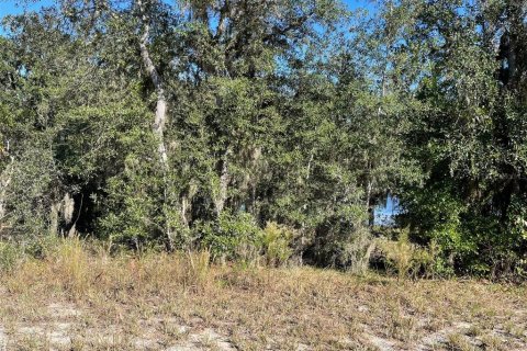 Terrain à Dunnellon, Floride № 2330473