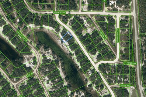 Land in Lake Placid, Florida № 2236184