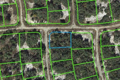 Land in Lake Placid, Florida № 2234957