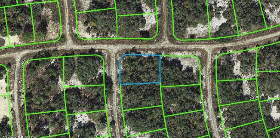 Land in Lake Placid, Florida № 2234957