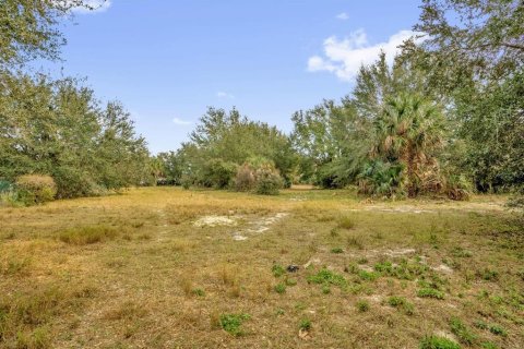Terrain à vendre à Eustis, Floride № 2108927 - photo 15