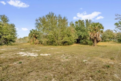 Terrain à vendre à Eustis, Floride № 2108927 - photo 16