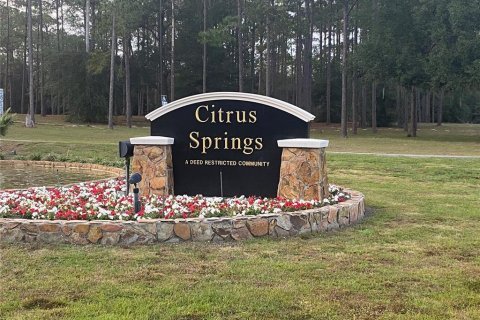Land in Citrus Springs, Florida № 2163254 - photo 4