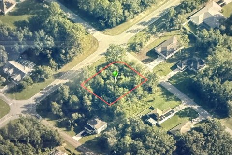 Land in Citrus Springs, Florida № 2163254 - photo 2