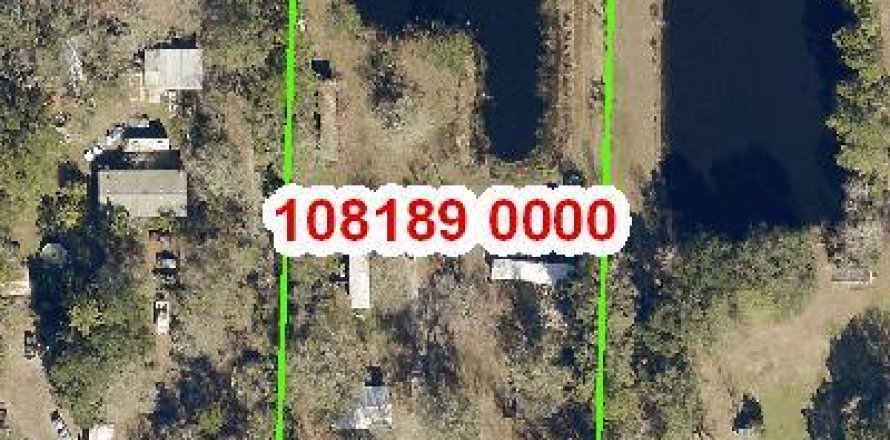 House in Jacksonville, Florida 12 bedrooms, 397.99 sq.m. № 777589
