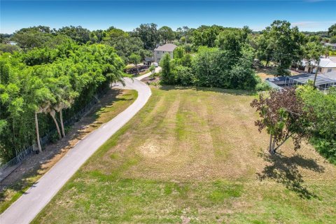 Land in Winter Haven, Florida № 2198401 - photo 3