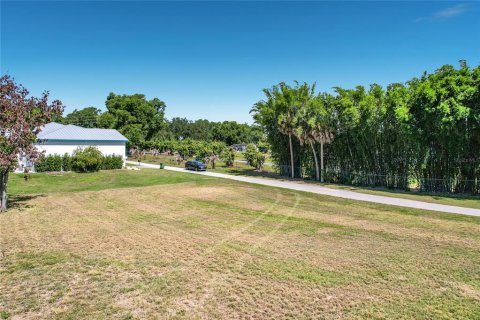 Land in Winter Haven, Florida № 2198401 - photo 24