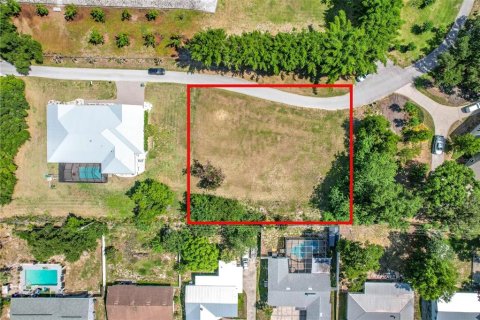 Land in Winter Haven, Florida № 2198401