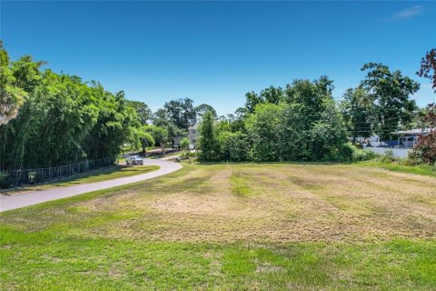 Land in Winter Haven, Florida № 2198401 - photo 22
