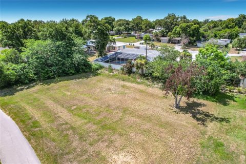 Land in Winter Haven, Florida № 2198401 - photo 20