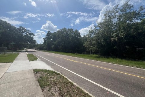 Land in Plant City, Florida № 1766139 - photo 8