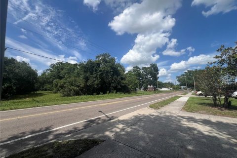 Land in Plant City, Florida № 1766139 - photo 9