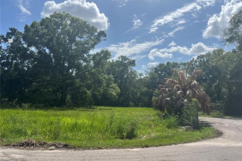 Land in Plant City, Florida № 1766139 - photo 10