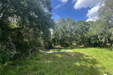 Land in Plant City, Florida № 1766139 - photo 5