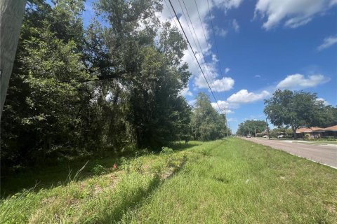 Land in Plant City, Florida № 1766139 - photo 4
