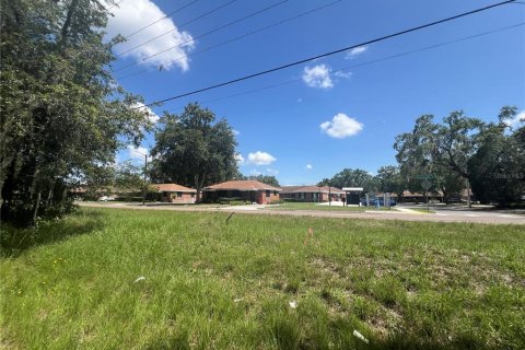 Land in Plant City, Florida № 1766139 - photo 2