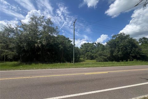 Land in Plant City, Florida № 1766139 - photo 11