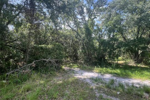 Land in Plant City, Florida № 1766139 - photo 7