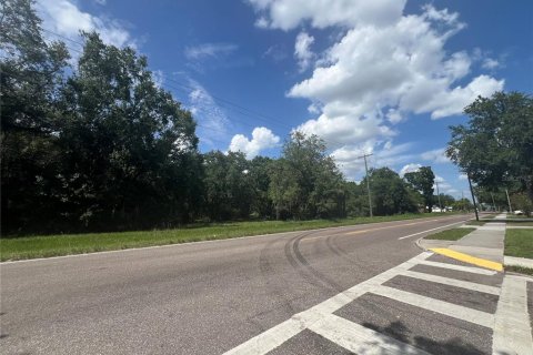 Land in Plant City, Florida № 1766139 - photo 3