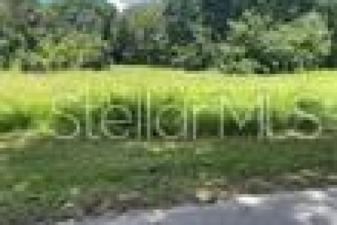 Land in Plant City, Florida № 1766139 - photo 1