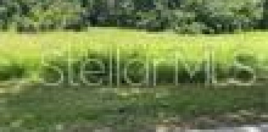 Land in Plant City, Florida № 1766139