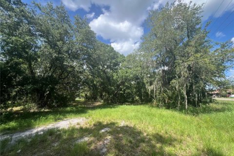 Land in Plant City, Florida № 1766139 - photo 6