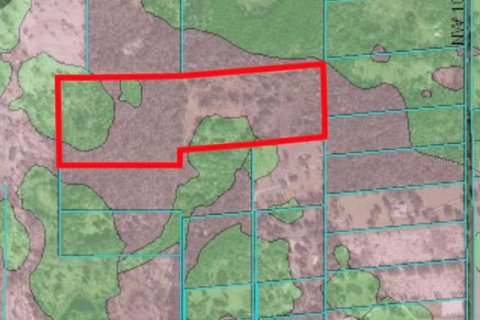 Купить земельный участок в Реддик, Флорида № 796014 - фото 10