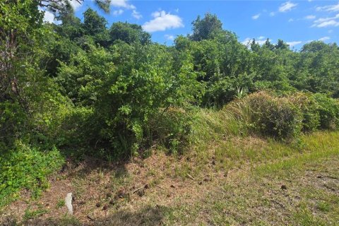 Terreno en venta en Englewood, Florida № 2098566 - foto 7