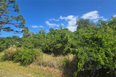 Terreno en venta en Englewood, Florida № 2098566 - foto 2