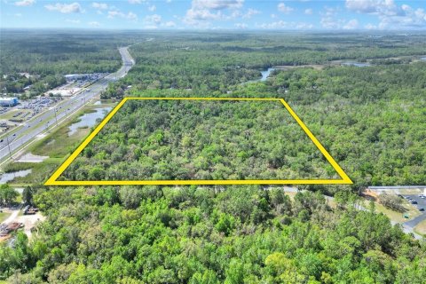 Land in Homosassa, Florida № 1722564 - photo 3