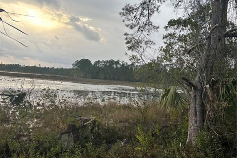 Terrain à vendre à DeLand, Floride № 1831836 - photo 4