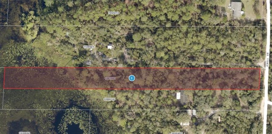 Terrain à DeLand, Floride № 1831836