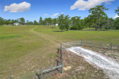 Casa en venta en Morriston, Florida, 1 dormitorio, 70.05 m2 № 1769724 - foto 3