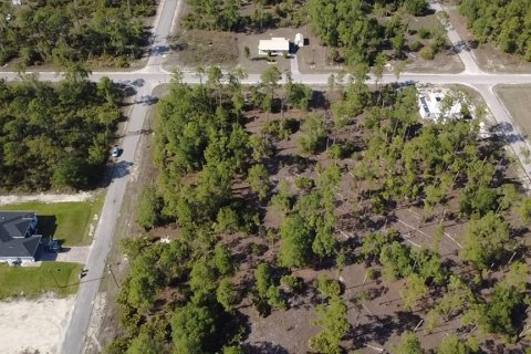 Land in Lehigh Acres, Florida № 2202947 - photo 4