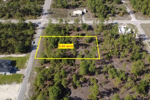 Land in Lehigh Acres, Florida № 2202947 - photo 3