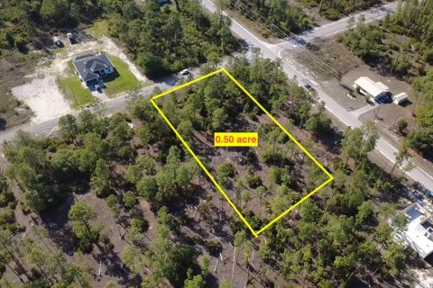 Land in Lehigh Acres, Florida № 2202947 - photo 5