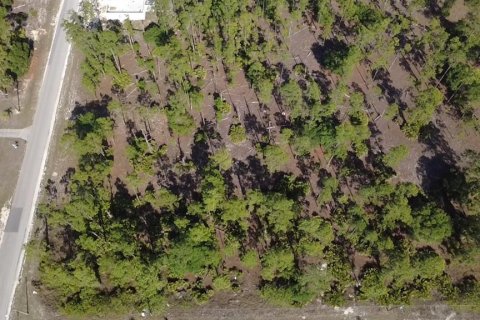 Land in Lehigh Acres, Florida № 2202947 - photo 2