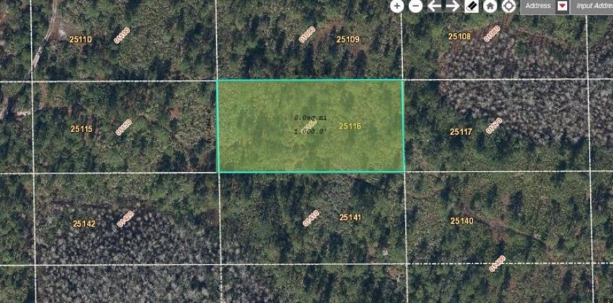 Land in Orlando, Florida № 2219139